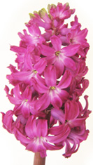 Bild15